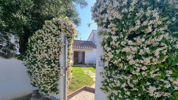 A white building with a tiled roof, a green lawn, and a pathway leading to a door. - Casa Lara: Holiday Home with Private Garden and Wi-Fi (Cannigonis)
