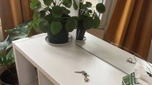 Una consola blanca con una planta en maceta, un llavero y una caja de pañuelos.