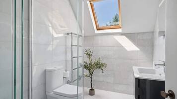 Shower, hair dryer, towels, shampoo