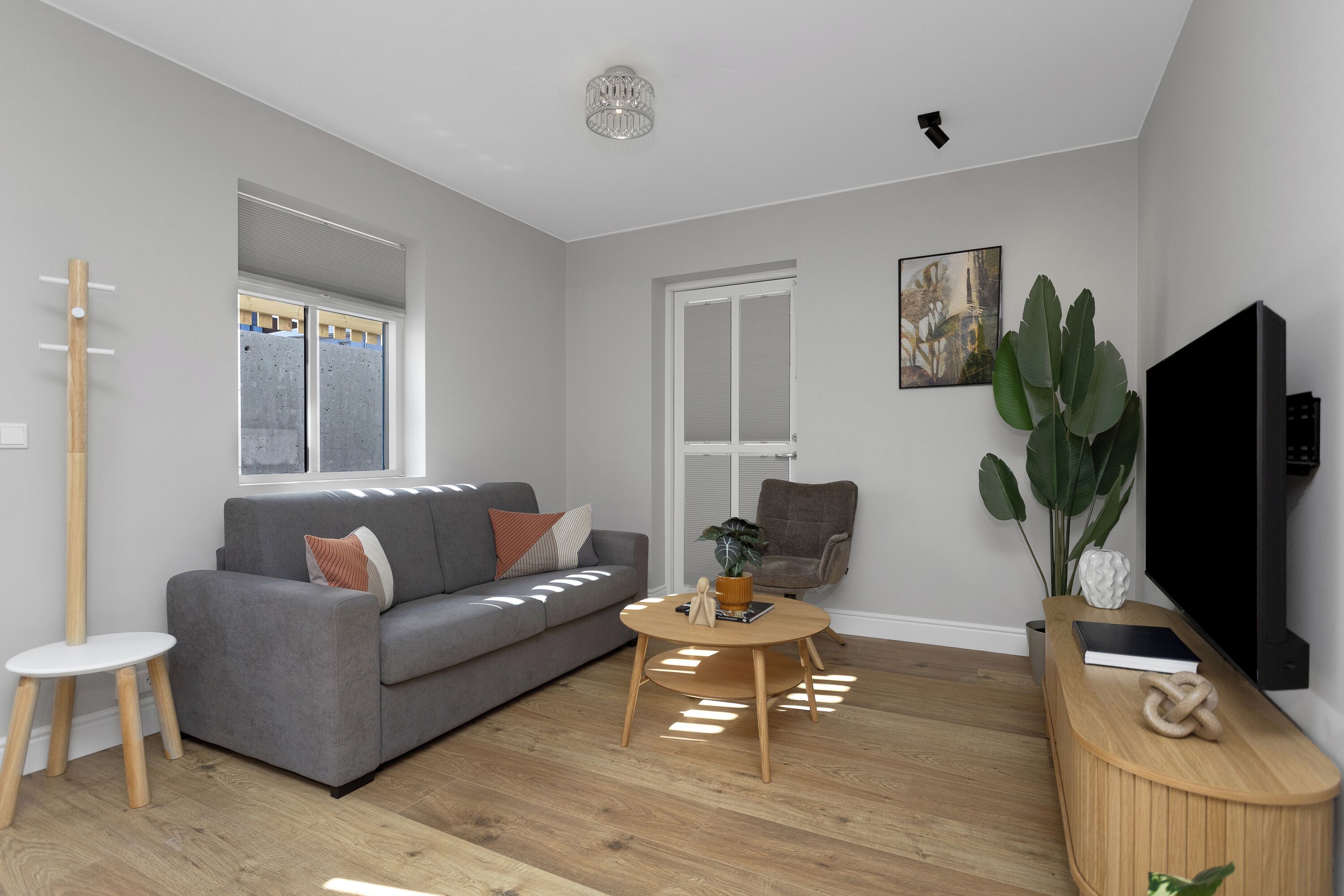 A modern living room with a grey sofa, a round wooden coffee table, a TV stand, and a large plant.