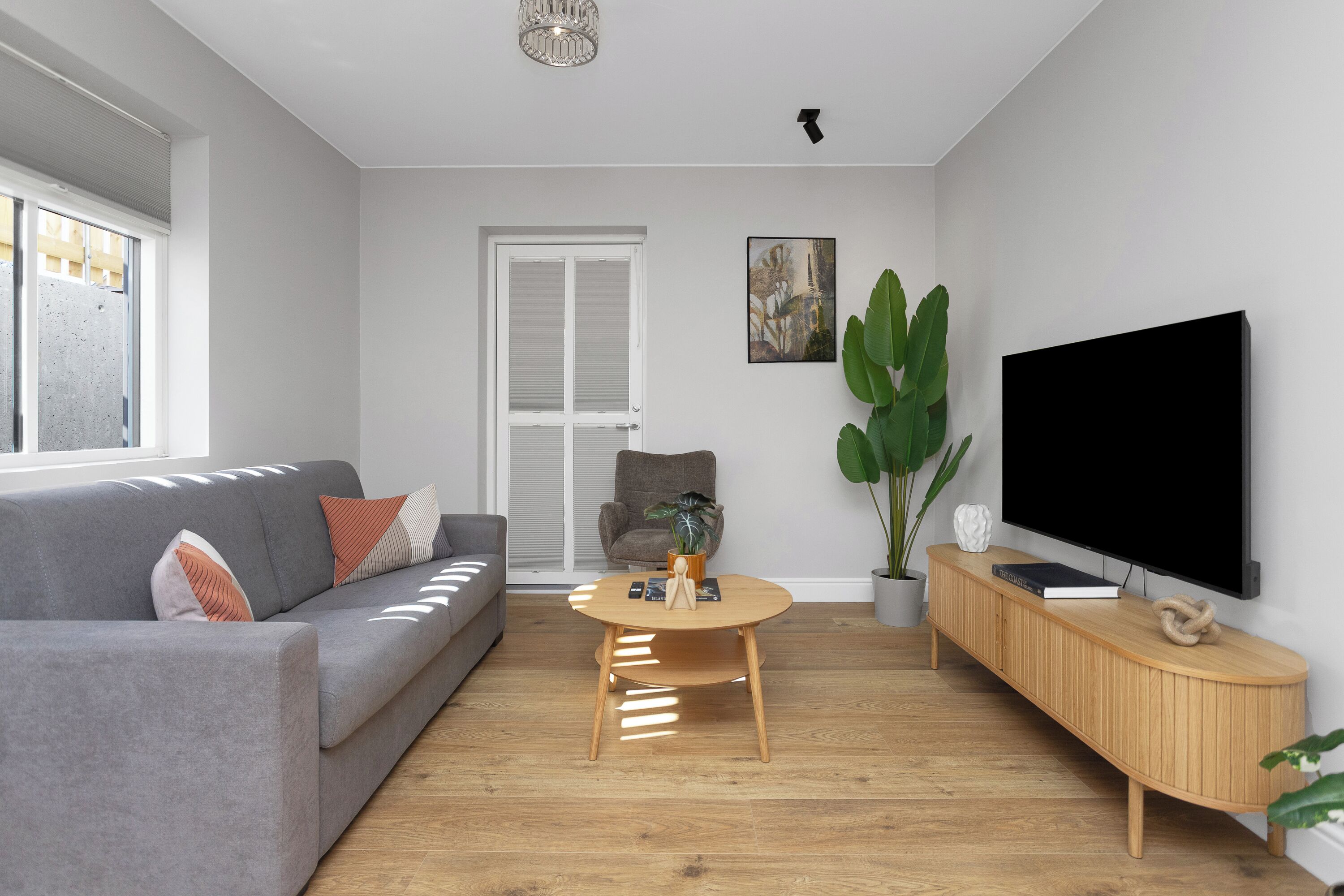 A modern living room with a grey sofa, a round wooden coffee table, a TV on a wooden console, and a large plant.