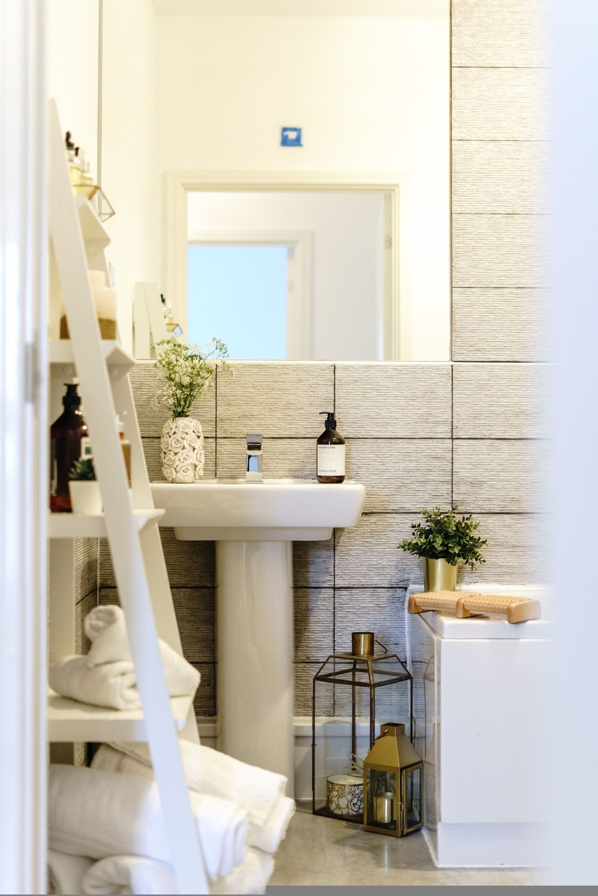 A bathroom with a white sink, a mirror, a towel rack, and a small potted plant.
