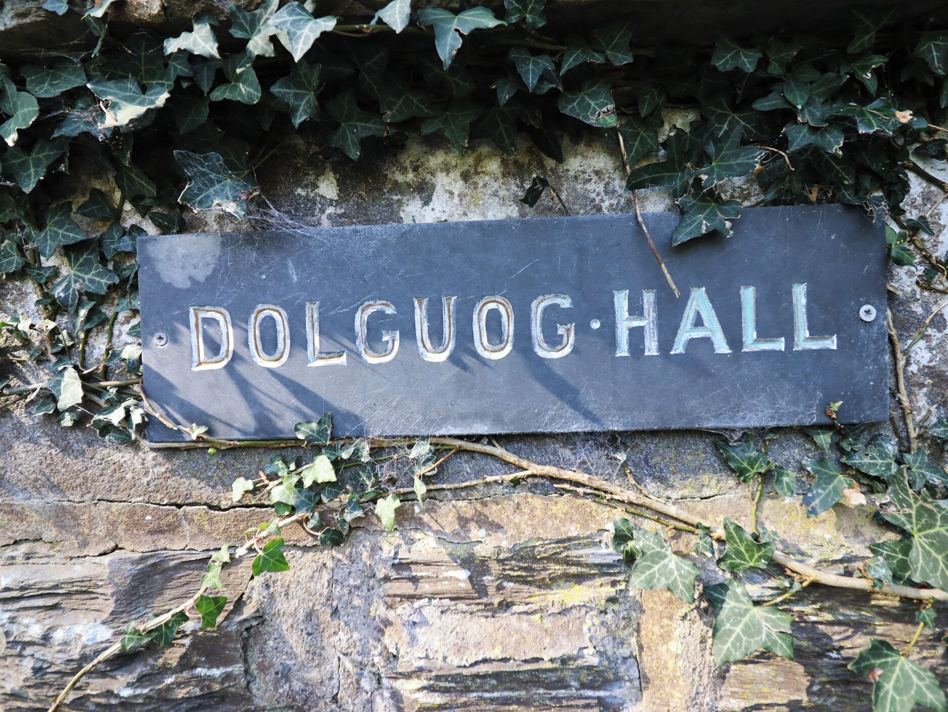 A stone sign with the inscription 'DOLGUOG HALL' surrounded by ivy.