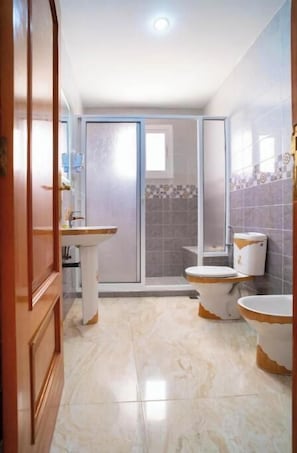 Een douche, een haardroger, een bidet, handdoeken