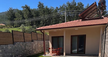 Charming 1-Bedroom&Bathroom Farmhouse With Private Pool Close To Sea In Dalaman