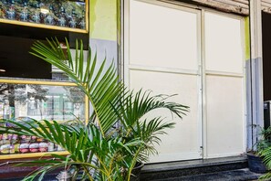 A storefront with a closed door, a potted plant in the foreground, and a display of products on the left.
