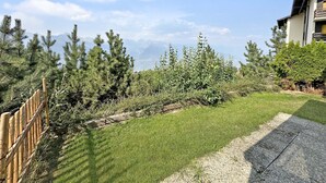 Una zona residencial con un camino pavimentado, valla de madera y varios árboles, entre ellos, coníferas y arbustos.
