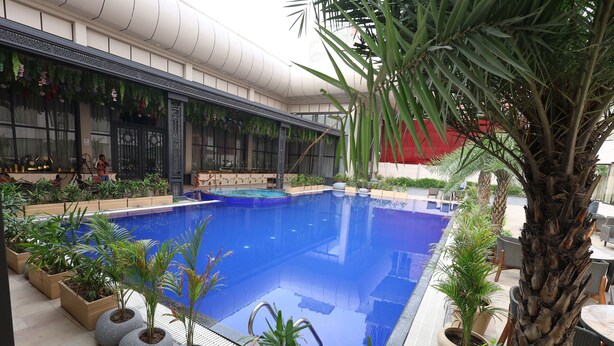 Una piscina interior con suelo de baldosas, rodeada de plantas en macetas y una palmera.