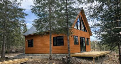 The cabin in the bay