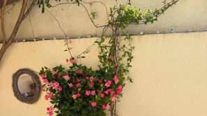 A garden with a climbing plant, a pinwheel, and a hose. - SEAS THE DAY 2 (Luz)
