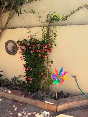 Ein Garten mit einer Kletterpflanze, einem Windrad und einem Gartenschlauch.