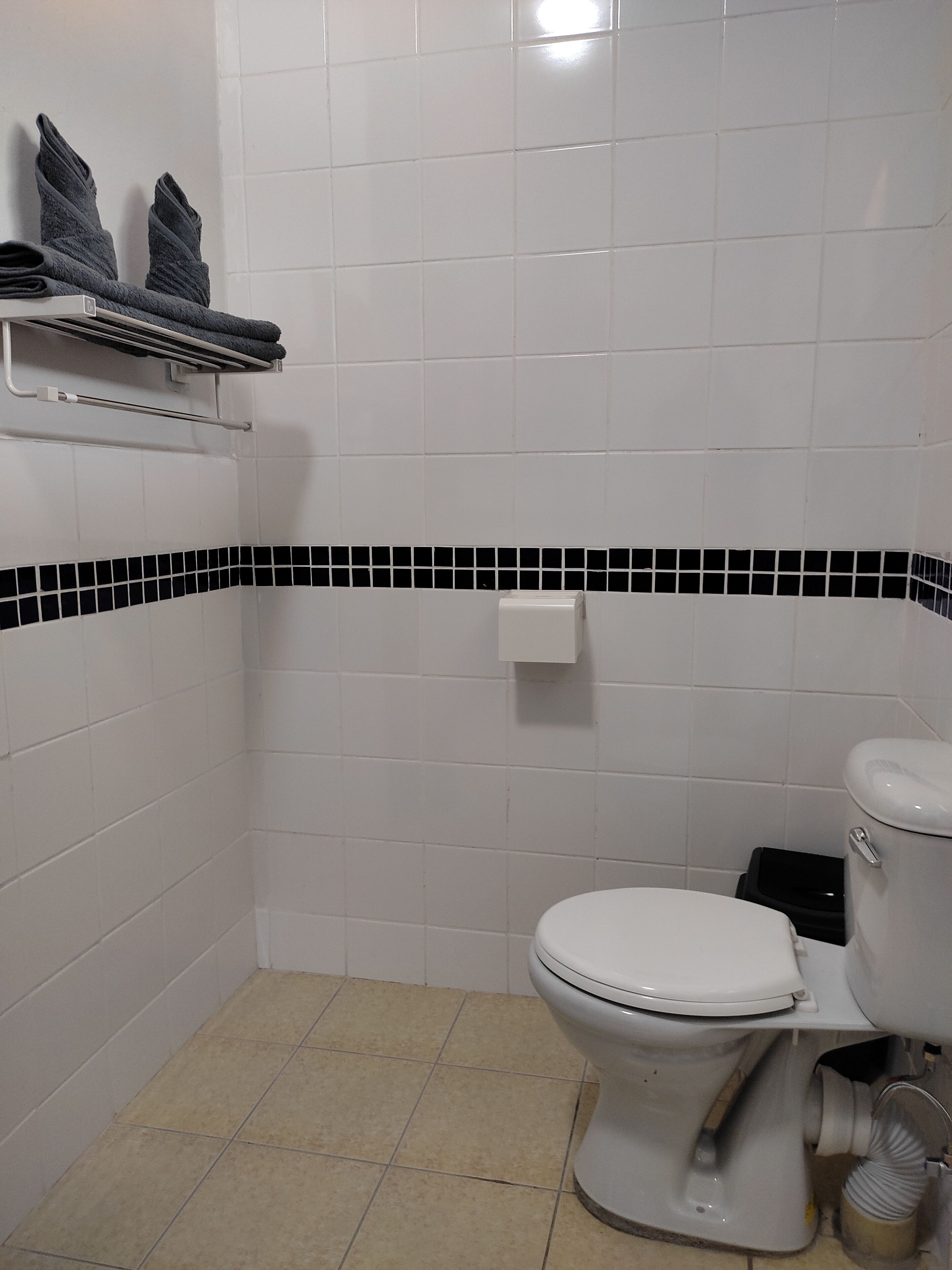 Habitación estándar con 2 camas individuales, balcón | Baño | Ducha, toallas, jabón y champú
