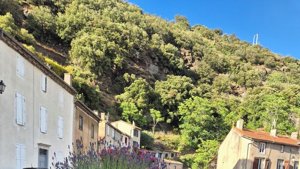 A stone pathway beside a stream with buildings and trees in the background.