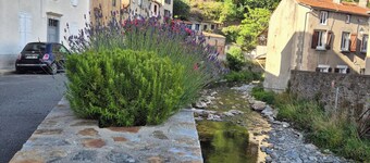 Cathar Cottage, Country House: Peace, Coolness, and Nature