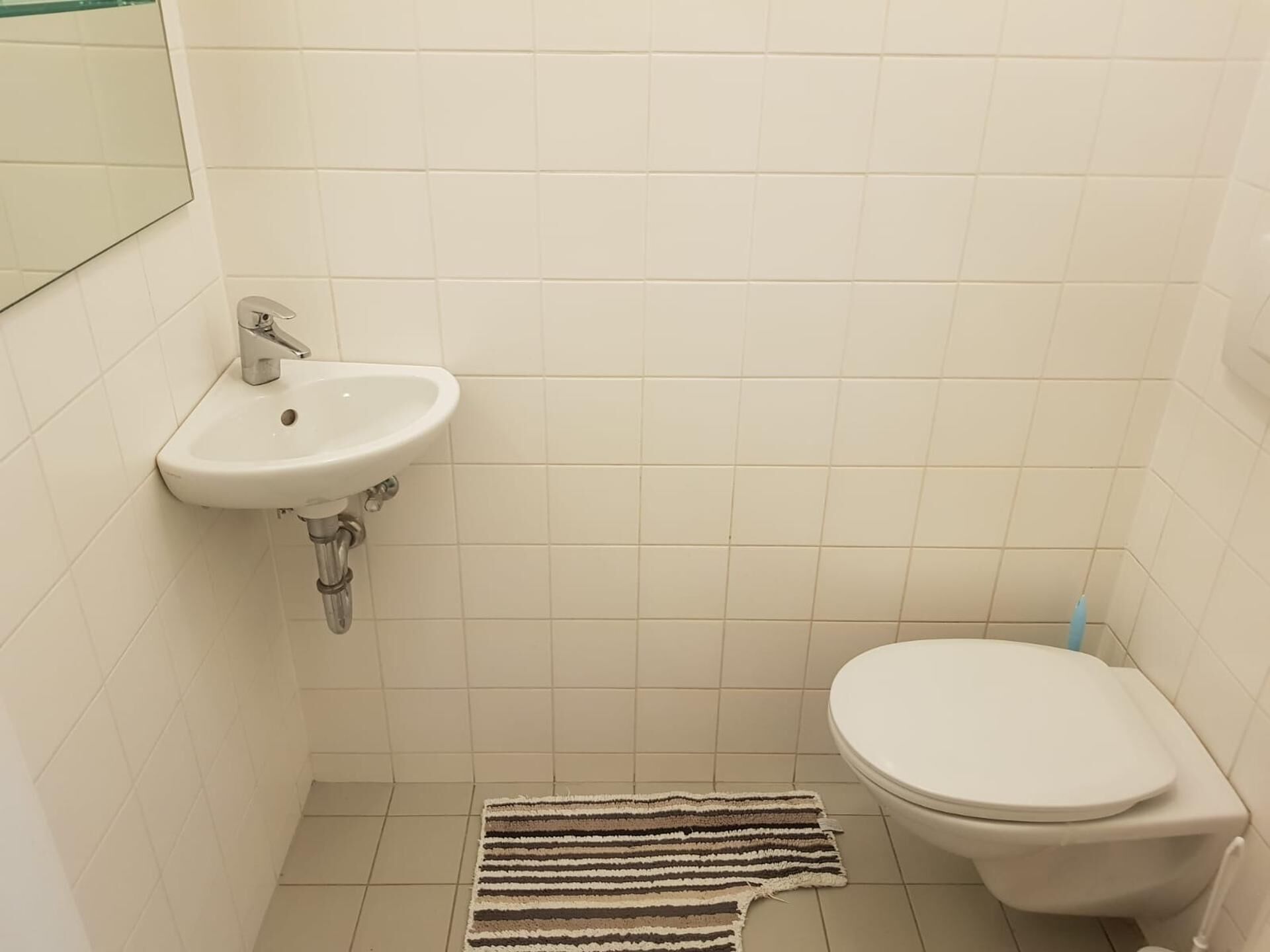 Une petite salle de bain avec un lavabo blanc, des toilettes et un tapis à rayures sur le sol.