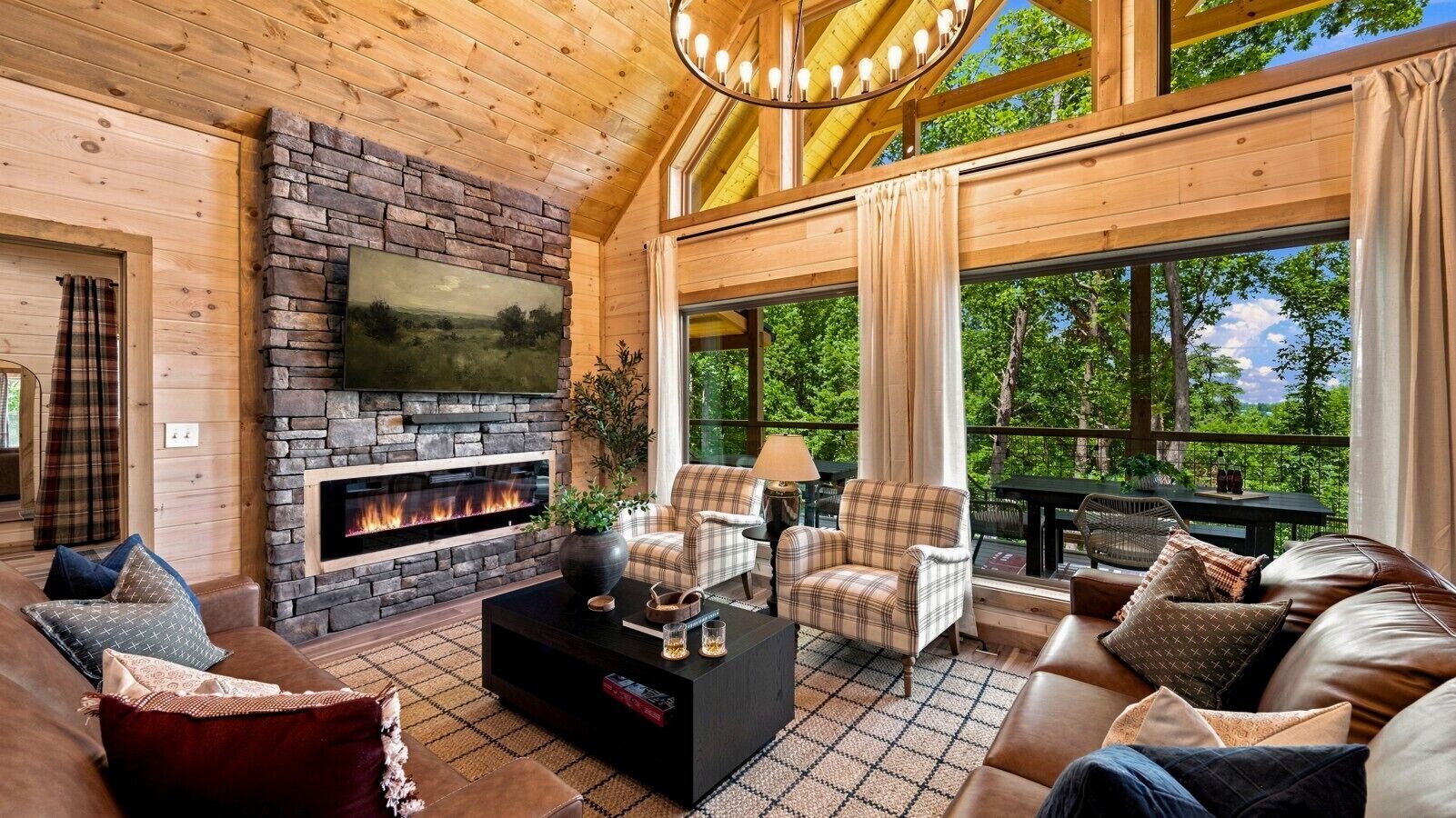 TV, fireplace, books