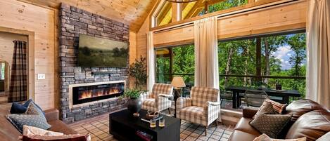 TV, fireplace, books