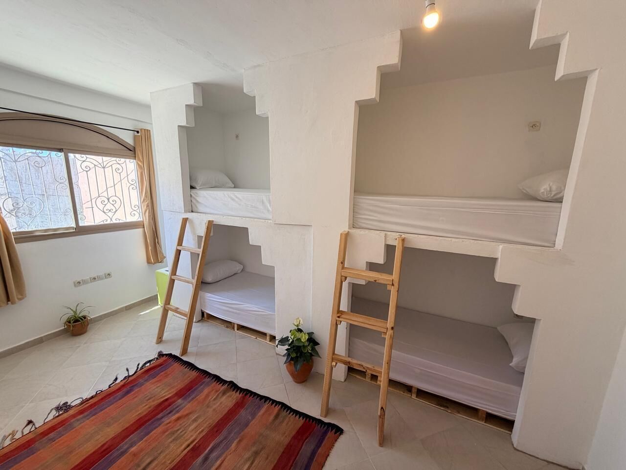 A room with bunk beds, a ladder, a potted plant, and a striped rug.