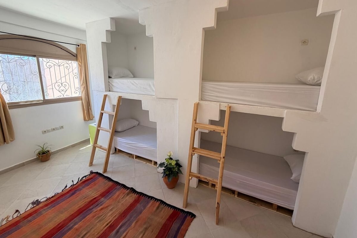 Ein Zimmer mit Etagenbetten, einer Stehleiter, einem Blumentopf und einem Streifenmuster-Teppich.
