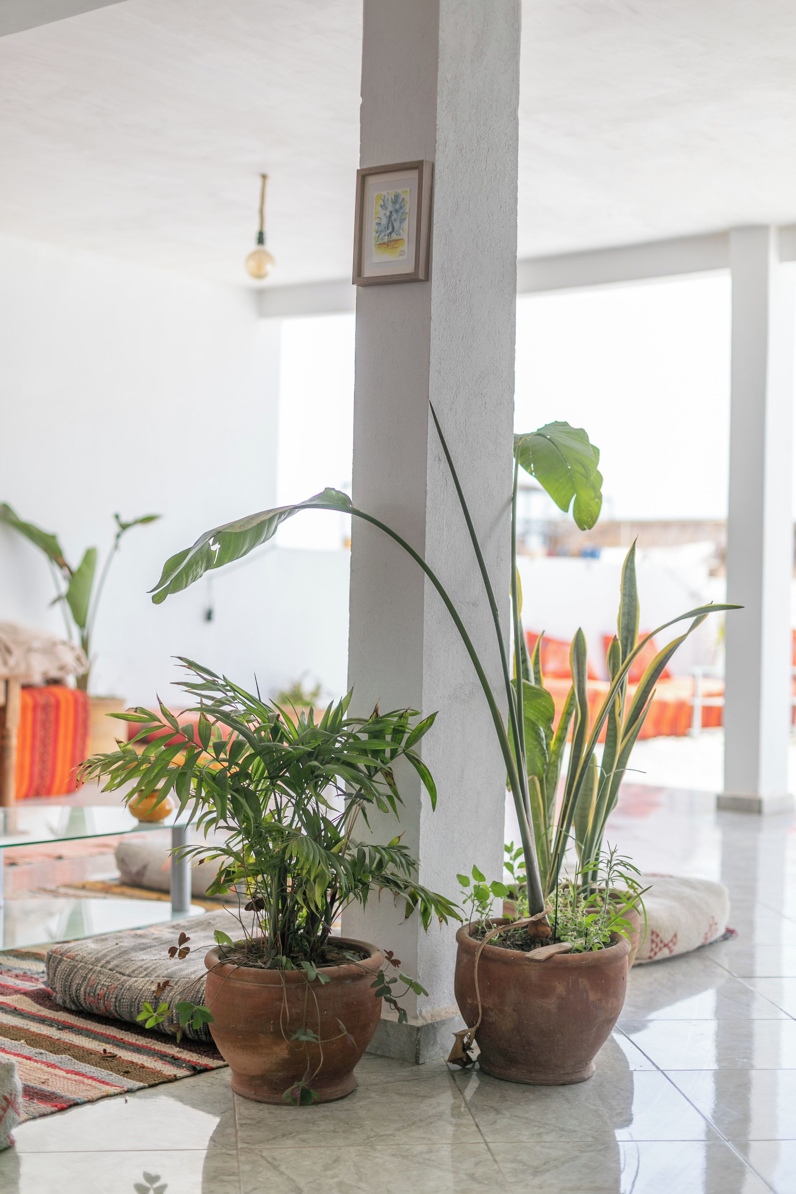 Un espacio interior amplio con un pilar blanco, plantas en macetas y una vista parcial de una cama con ropa de cama naranja.