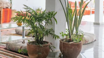 Un espacio interior amplio con un pilar blanco, plantas en macetas y una vista parcial de una cama con ropa de cama naranja.