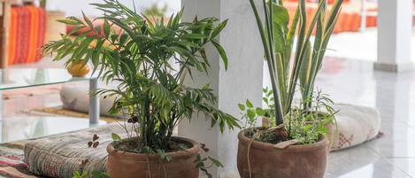 Un espacio interior amplio con un pilar blanco, plantas en macetas y una vista parcial de una cama con ropa de cama naranja.