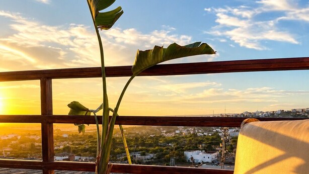 Un balcón con una planta en maceta, un sillón acolchado y vistas a un paisaje urbano al atardecer.