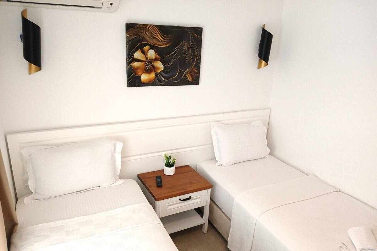 Quarto pequeno e limpo com duas camas de solteiro, uma mesa de cabeceira com controle remoto, uma pequena planta e uma obra de arte na parede.
