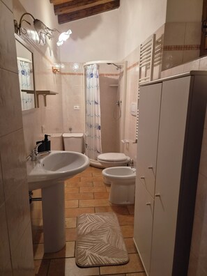 Un baño con lavamanos, inodoro, ducha y un armario.