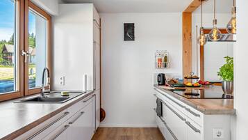 Kühlschrank, Ofen, Herdplatte, Geschirrspüler