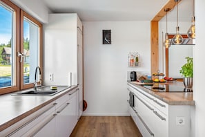 Coffee/tea maker, fridge, oven, stovetop - Dog-Friendly Apartment with Mountain Views (Bräunlingen)