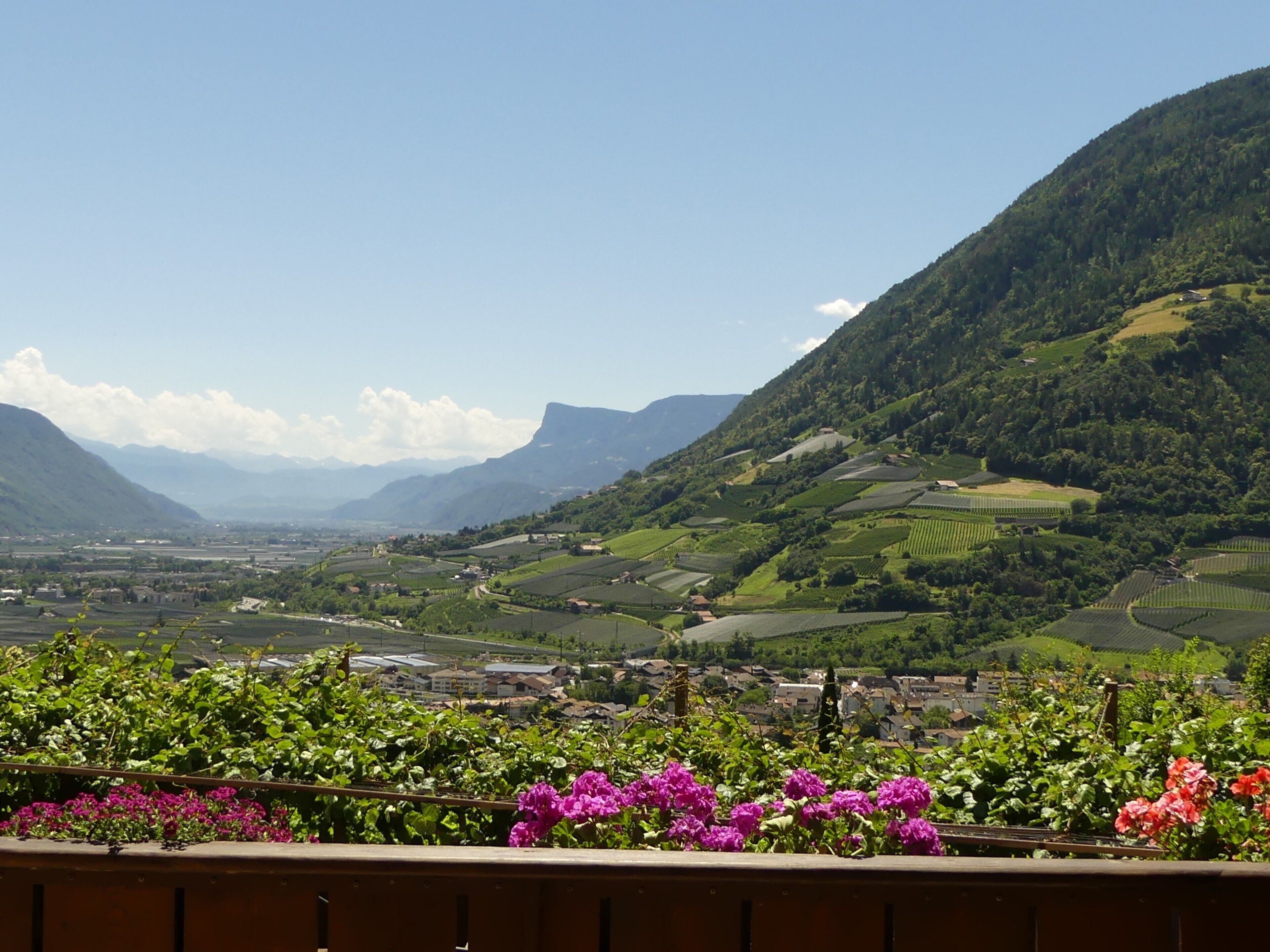Vue depuis l’hébergement