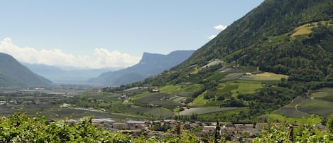 Vue depuis l’hébergement