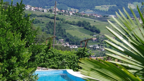 Ein Schwimmbecken mit Bergblick, umgeben von viel Grün.