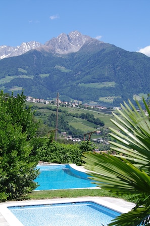 Ein Schwimmbecken mit Bergblick, umgeben von viel Grün.