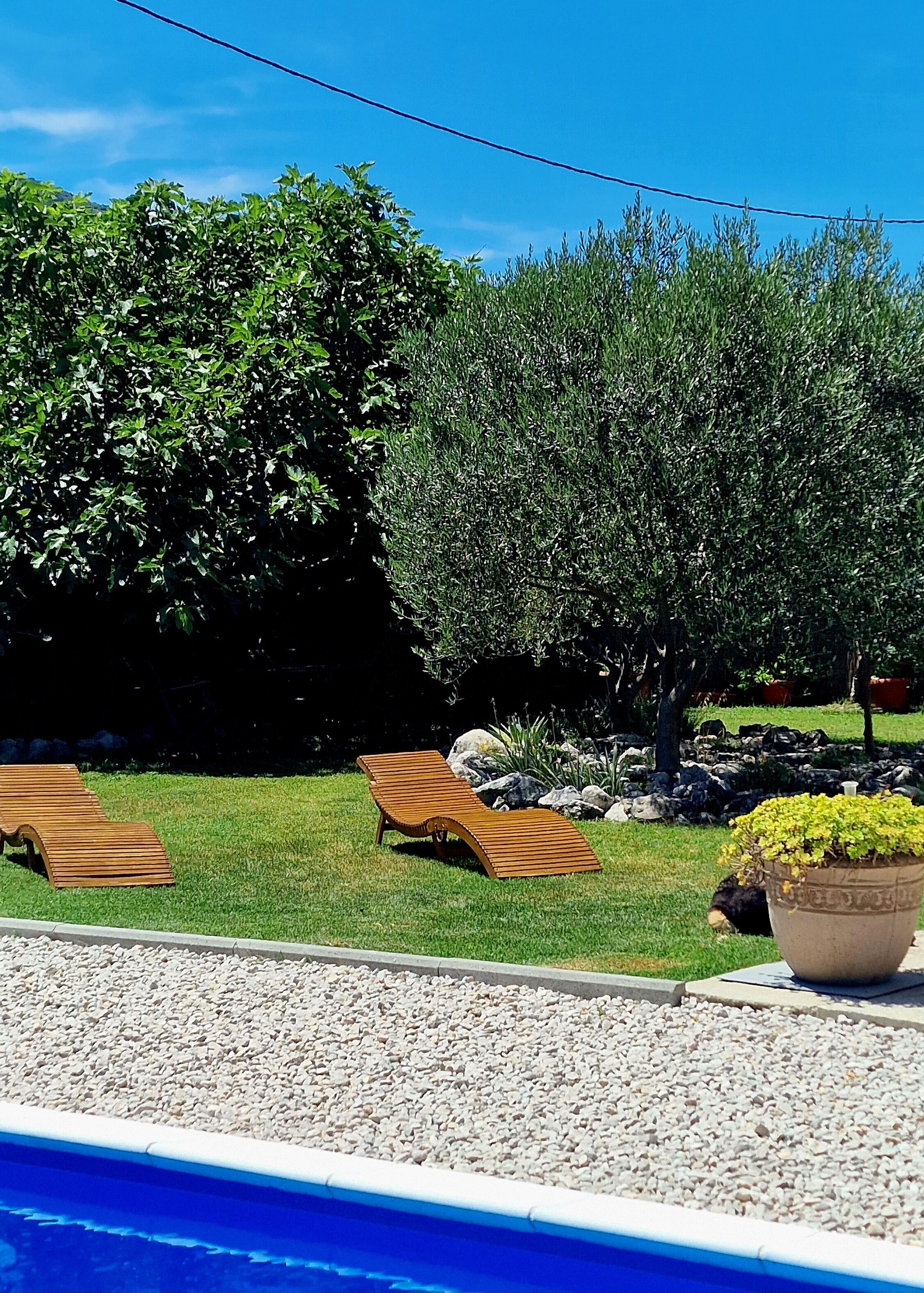 A poolside area with two wooden lounge chairs, a potted plant, and a rock garden.