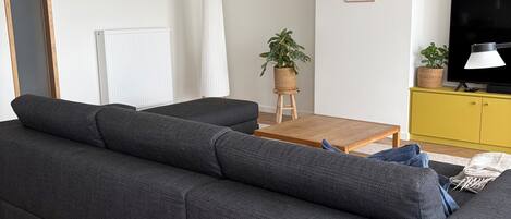 Smart-TV og bøker