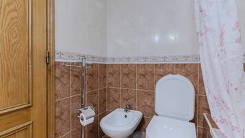 Hair dryer, bidet, towels, soap