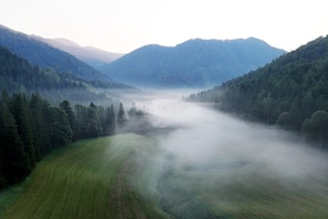 A valley with a misty forest and rolling hills.