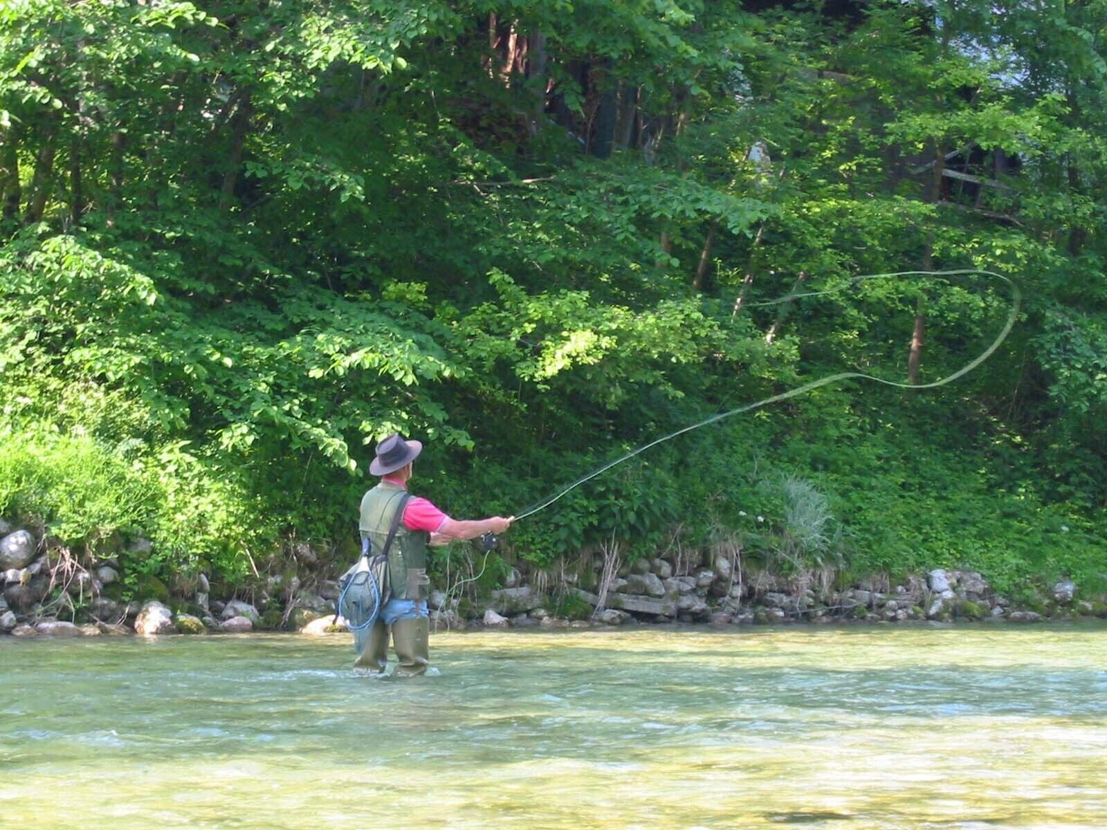 A person fishing in a river surrounded by dense greenery.