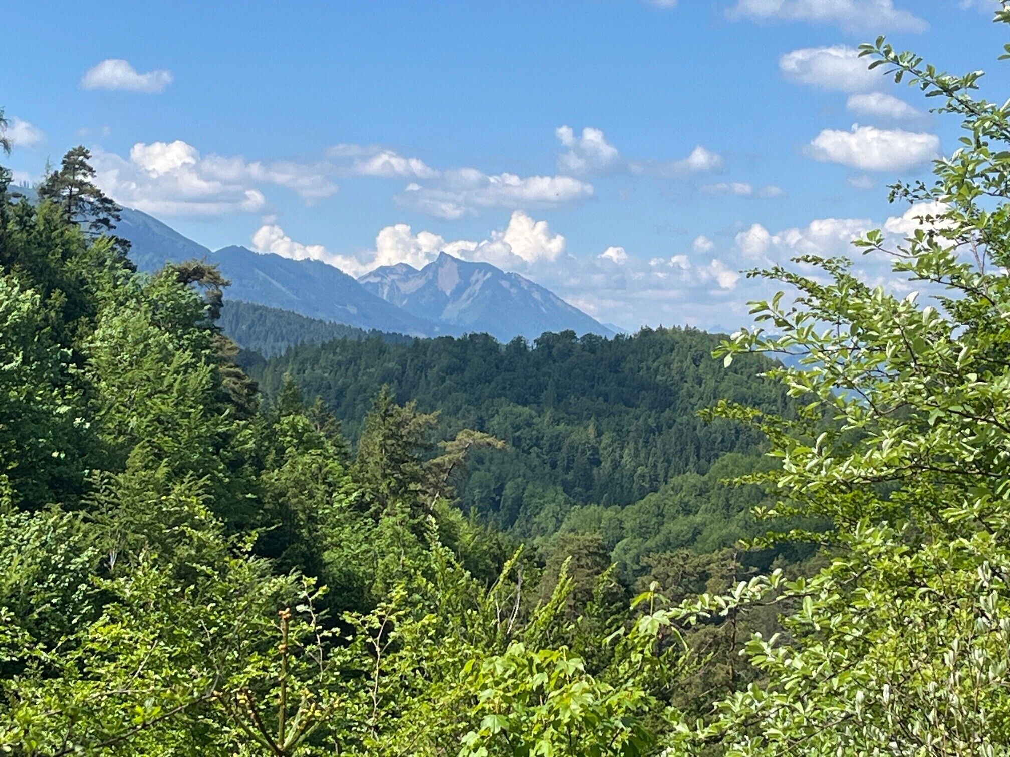 Eine gebirgige Landschaft mit dichtem Wald und blauem Himmel.