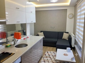 Deluxe Studio, Balcony, Valley View | Desk, laptop workspace, blackout drapes, soundproofing - ZARA PALAS OTEL (Zara)