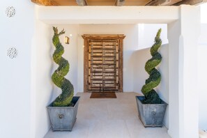 A hallway with a wooden door, two spiral topiary plants in metal planters, and a light fixture above the door.