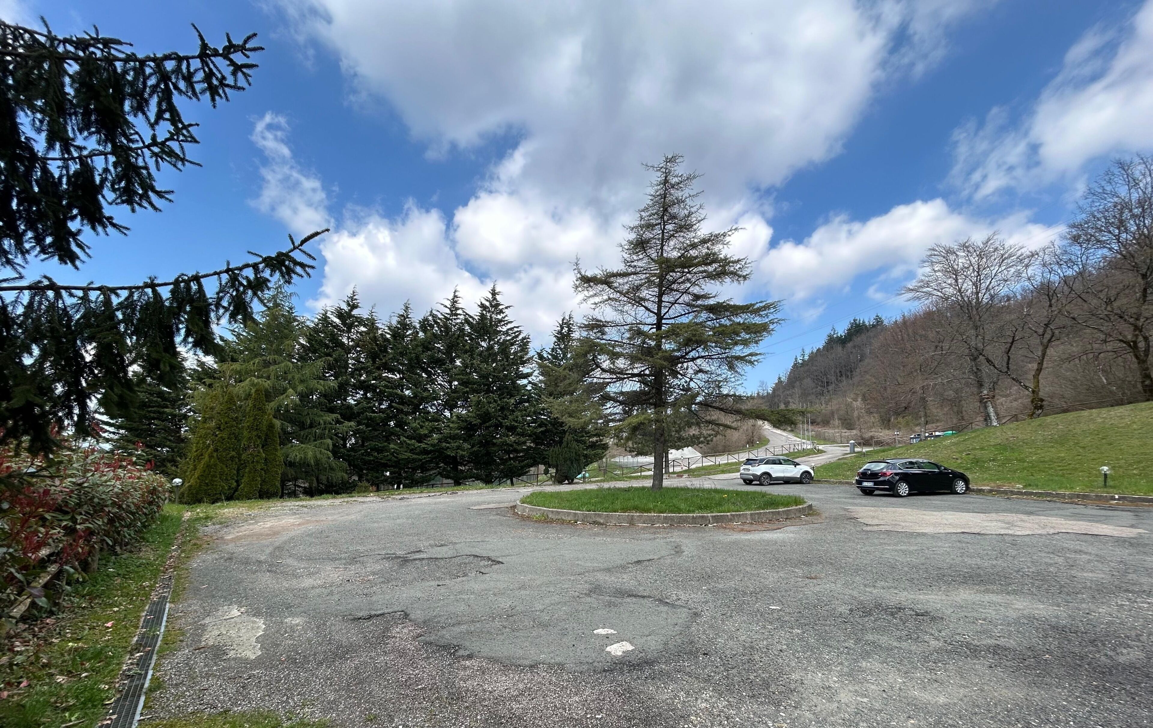 Un’area di parcheggio con auto, circondata da alberi e un cielo sereno.