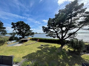 Ein Haus am Seeufer mit Rasen, Steg und einem großen Baum.