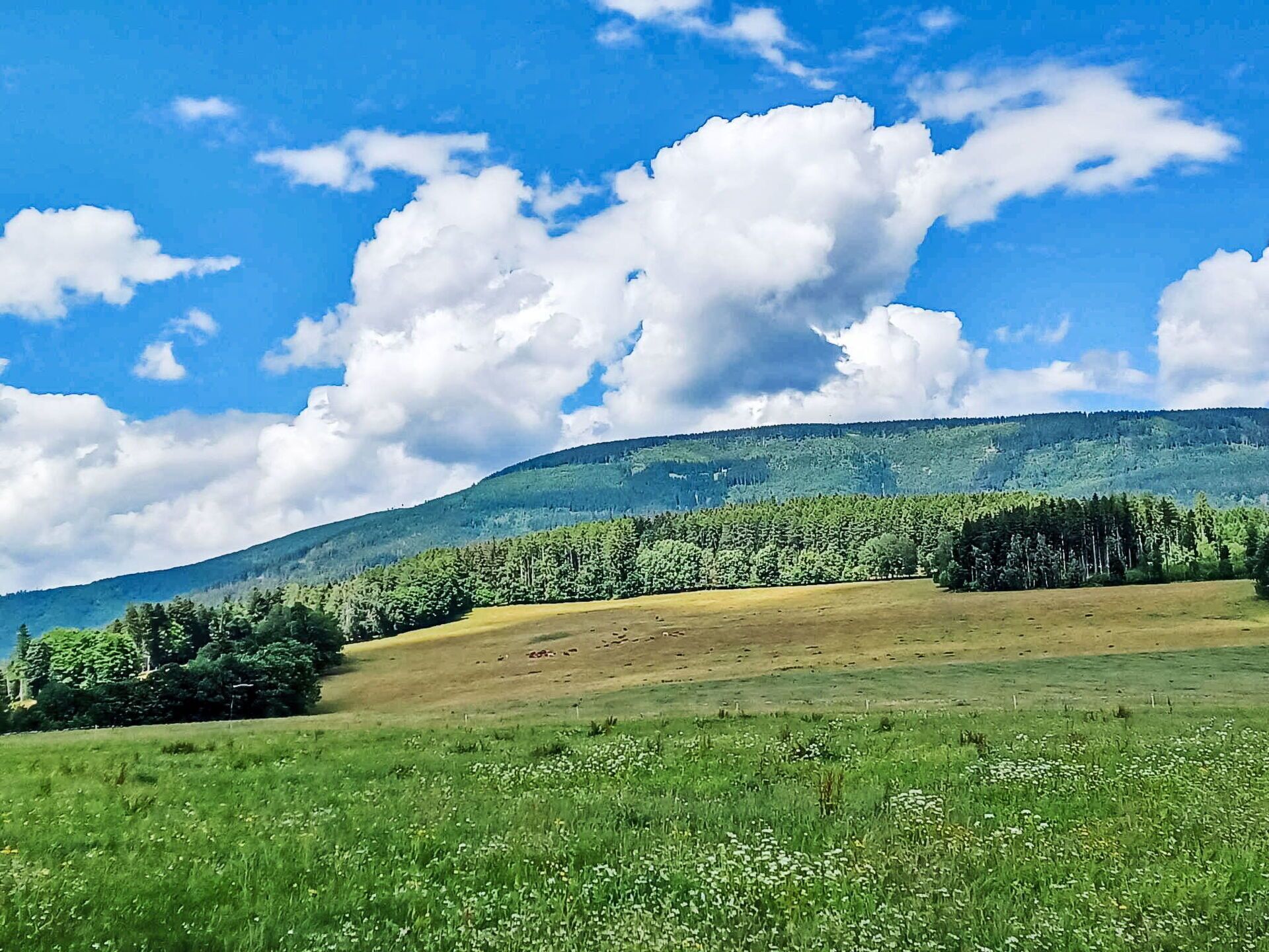 A green field with a hill in the background and a clear blue sky.