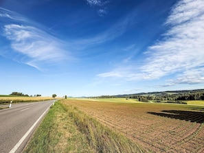 Una carretera rural bordeada por campos a ambos lados, cielo despejado y colinas al fondo.