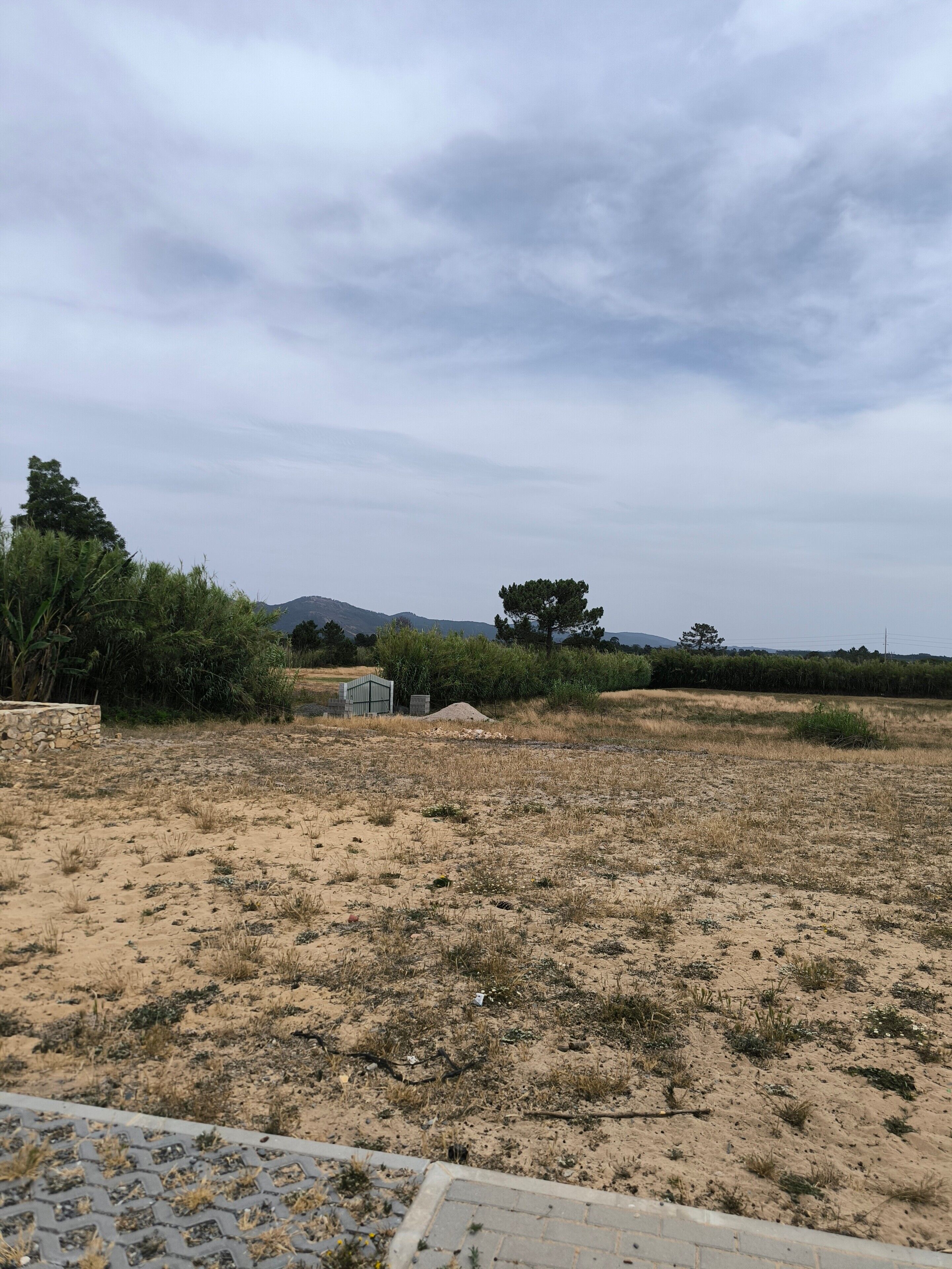 Un campo arido e aperto con vegetazione rada e alcuni alberi, un muro in pietra e un piccolo edificio in lontananza.