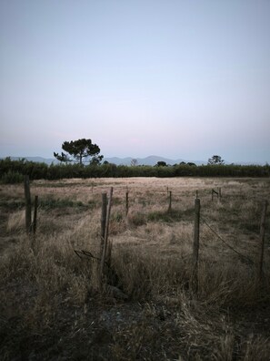 Un camp amb una tanca, arbres i muntanyes llunyanes.