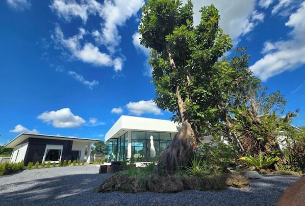 Un bâtiment moderne à la façade vitrée, entouré d’une allée en gravier et d’un grand arbre.